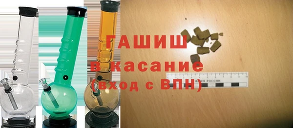 гашик Алексин
