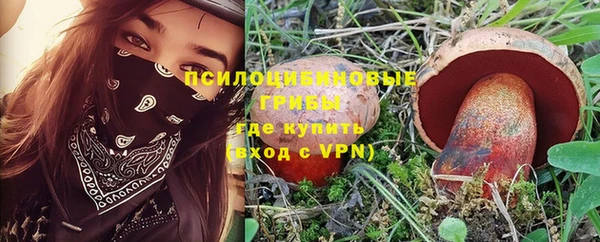 гашик Алексин