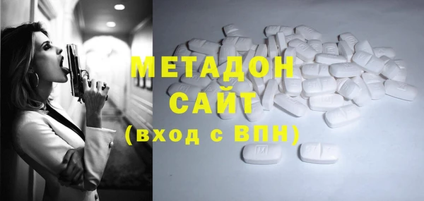 гашик Алексин