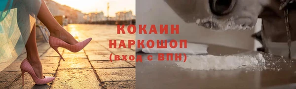 твердый Алексеевка