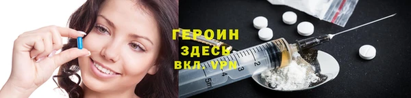 гашик Алексин