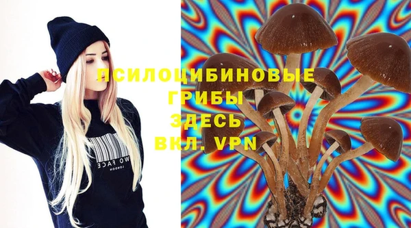 прущая мука Алзамай