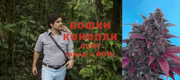гашик Алексин
