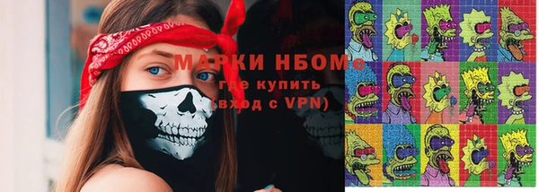гашик Алексин