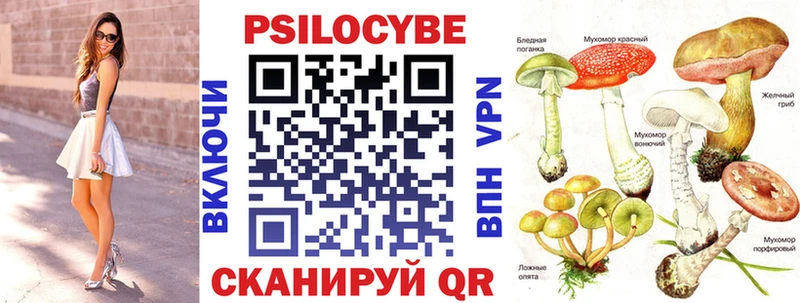 цена Кулебаки Псилоцибиновые грибы ЛСД